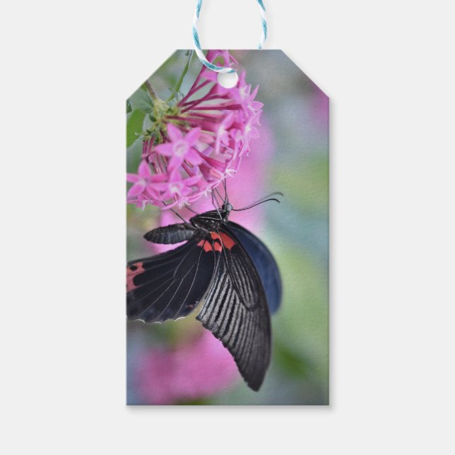 Butterfly on flower gift tags (Front)