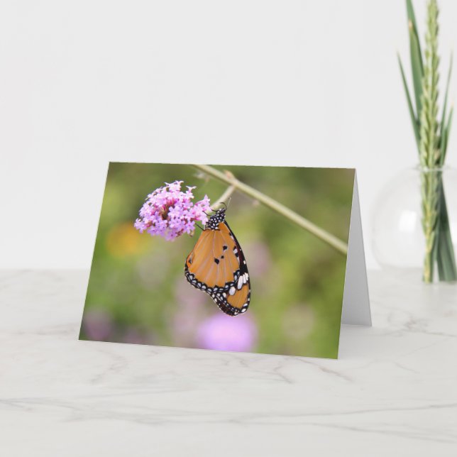 Butterfly on Flower Greeting Card (Blank Inside) (Front)