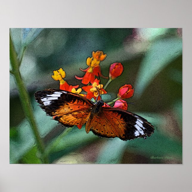 Butterfly on flower poster (Front)