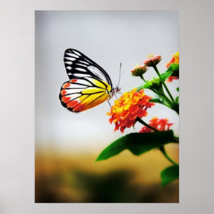 Butterfly on flower poster