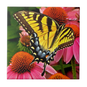 Butterfly on Flower v22 Tile