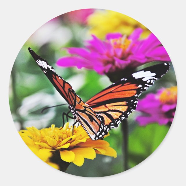 Butterfly on Flowers #2 Classic Round Sticker (Front)