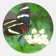Butterfly on flowers stickers