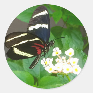 Butterfly on flowers stickers