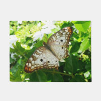 Butterfly on Jasmine Tropical Nature Photography