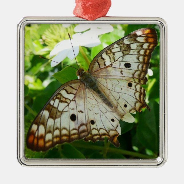 Butterfly on Jasmine Tropical Nature Photography Metal Tree Decoration (Front)