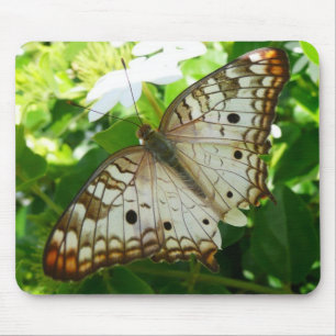 Butterfly on Jasmine Tropical Nature Photography Mouse Pad
