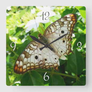 Butterfly on Jasmine Tropical Nature Photography Square Wall Clock