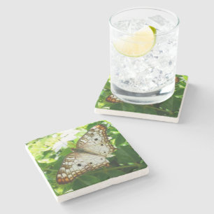 Butterfly on Jasmine Tropical Nature Photography Stone Coaster