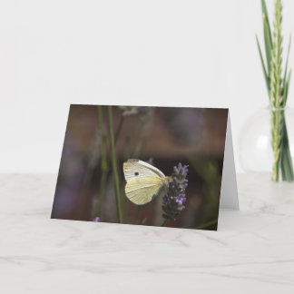Butterfly on Lavender Card