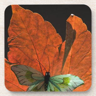 Butterfly on leaf 2 coaster
