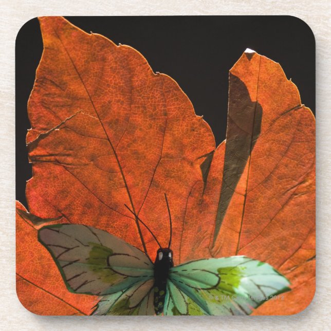 Butterfly on leaf 2 coaster (Front)