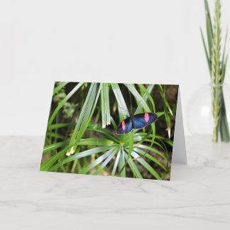 Butterfly on Leaf Card