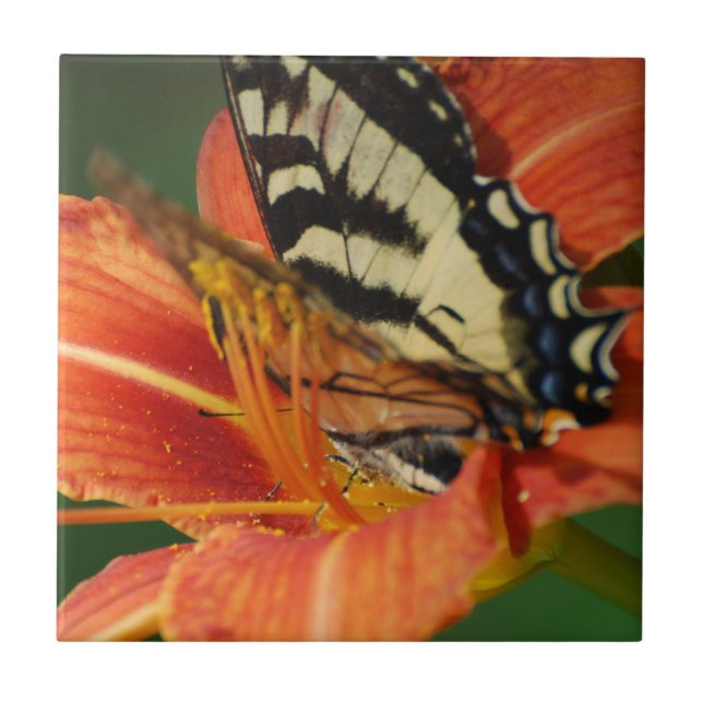 Butterfly on Lily Tile (Front)