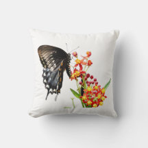 Butterfly on Milkweed Blooms, White Throw Pillow
