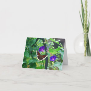 Butterfly on Morning Glory Flowers Card
