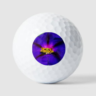 Butterfly on Morning Glory  Golf Balls