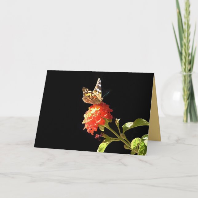 Butterfly on Orange Flower,  Blank Inside Greeting Card (Front)