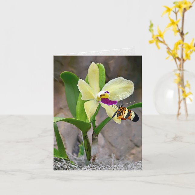 Butterfly On Orchid Blossom Notecard (Yellow Flower)
