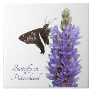 Butterfly on Pickerelweed, white Tile