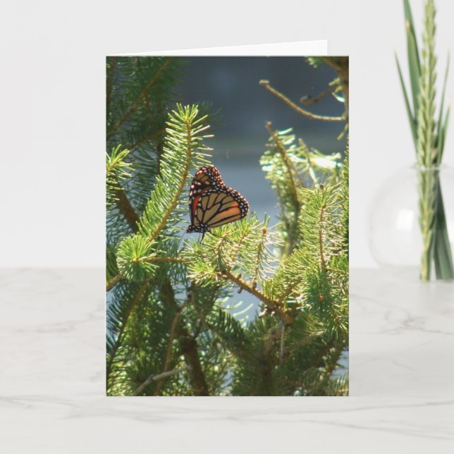 Butterfly on Pine Tree Card (Front)