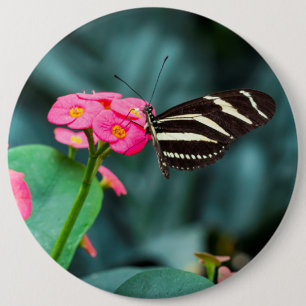 Butterfly on Pink Flower Photography 6 Cm Round Badge