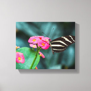 Butterfly on Pink Flower Photography Canvas Print