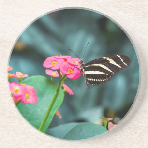 Butterfly on Pink Flower Photography Coaster