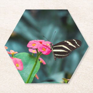 Butterfly on Pink Flower Photography Paper Coaster