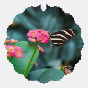 Butterfly on Pink Flower Photography Tree Decoration Card