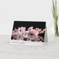 butterfly on pink gladiolus for sympathy