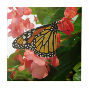 Butterfly on Red Flowers Ceramic Tile