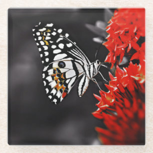 Butterfly on Red Flowers Glass Coaster