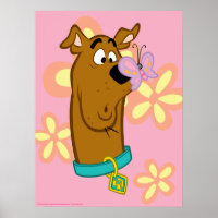 Butterfly On Scooby-Doo's Nose