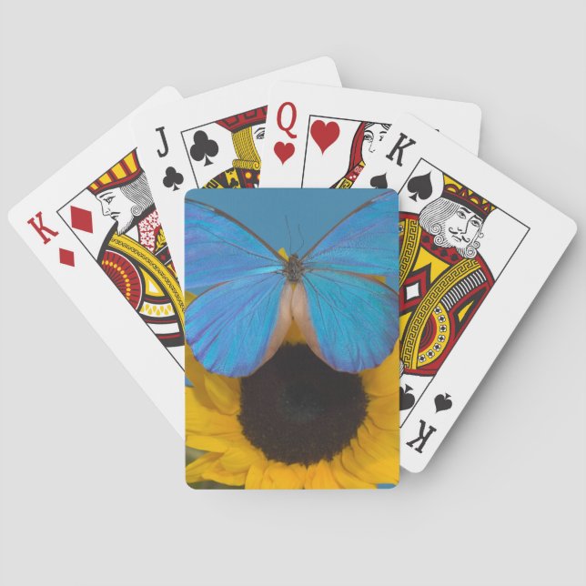 Butterfly on Sunflower Playing Cards (Back)