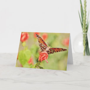 Butterfly On Turk's Cap Flower Note Card