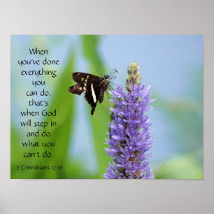 Butterfly on Wildfllowers, Scripture Verse Poster
