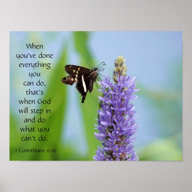 Butterfly on Wildfllowers, Scripture Verse Poster (Front)