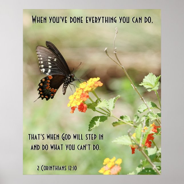 Butterfly on Wildfllowers, w Corinthians Verse Poster (Front)