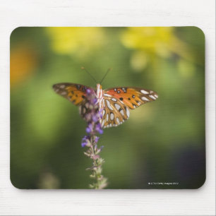 Butterfly on wildflowers mouse pad