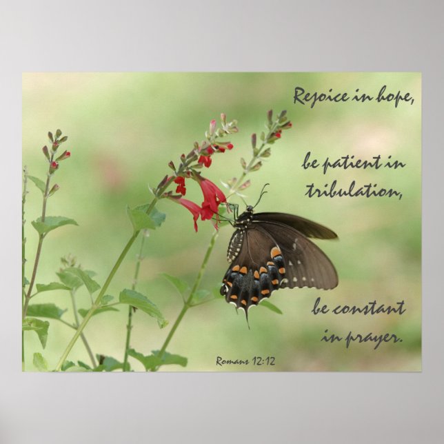 Butterfly on Wildflowers, Verse Romans 12:12 Poster (Front)