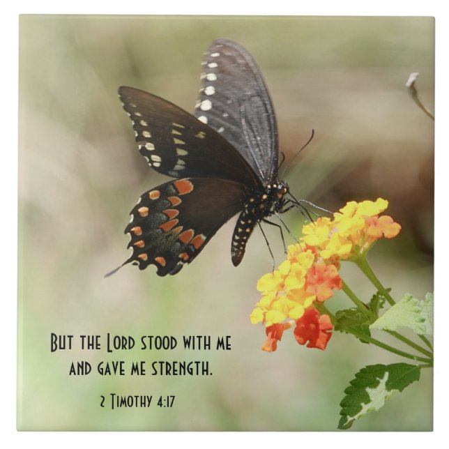 Butterfly on Wildflowers w/ Scripture Verse Tile (Front)