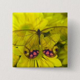 Butterfly on Yellow 15 Cm Square Badge