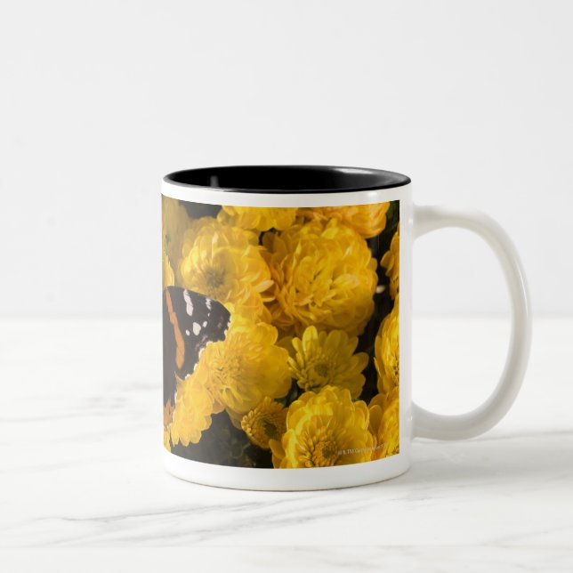 Butterfly on yellow asters Two-Tone coffee mug (Right)