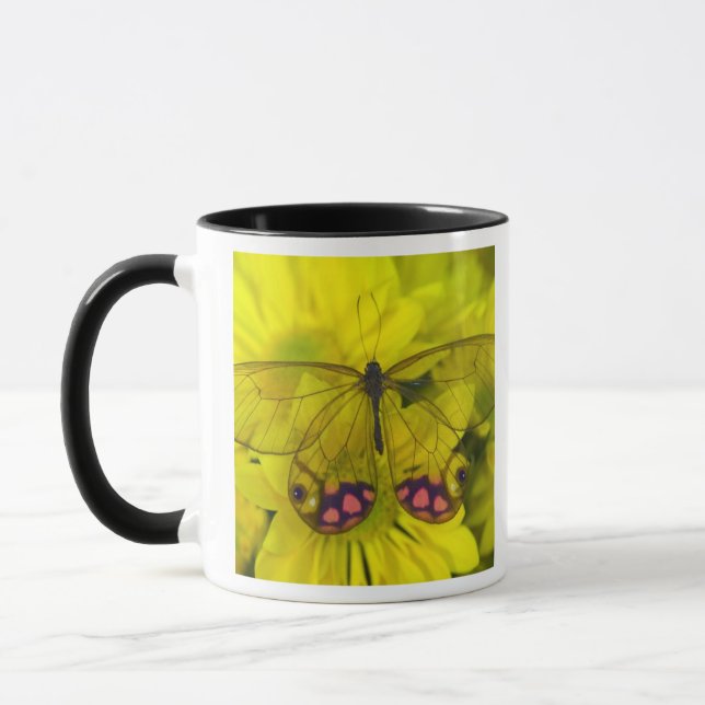 Butterfly on Yellow Mug (Left)