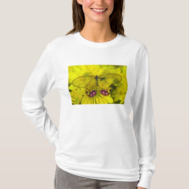 Butterfly on Yellow T-Shirt (Front)