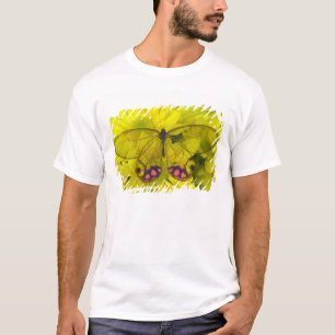 Butterfly on Yellow T-Shirt