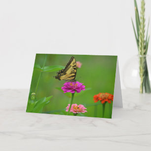 Butterfly On Zinnia Notecard