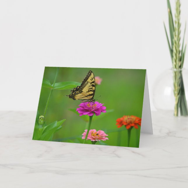 Butterfly On Zinnia Notecard (Front)