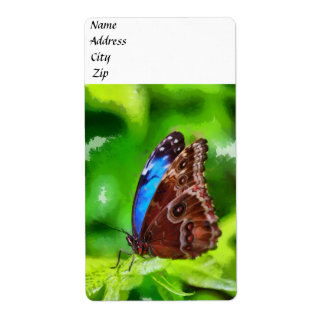 Butterfly painting